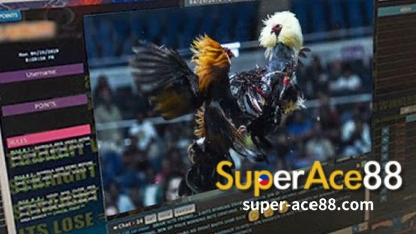 Once you enter the world of the SuperAce88 Sabong Betting platform, you can claim various bonuses to increase your potential winnings