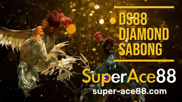 This Sabong guide takes an in-depth look at the leading varieties, with SuperAce88 detailing their characteristics and strategic advantages